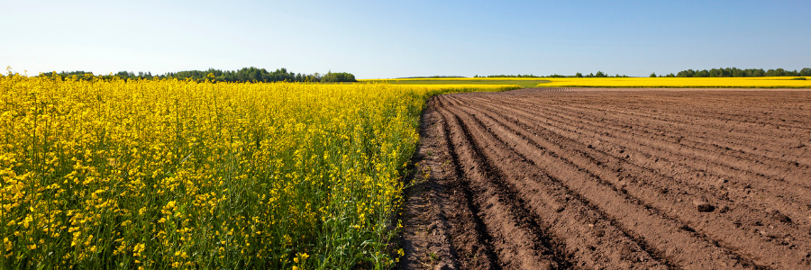 Agricultura bio