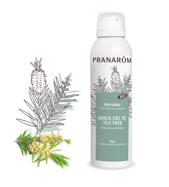 Hidrolato Árbol del té